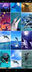 Delphin-Hintergrundbilder XAPK Herunterladen