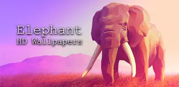 Elephant HD Wallpapers