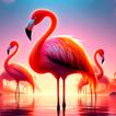 Flamingo Wallpapers icon