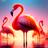 Flamingo Wallpapers APK