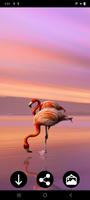 Flamingo Wallpapers screenshot 7