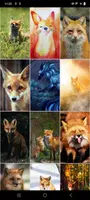 Fox Wallpapers screenshot 2