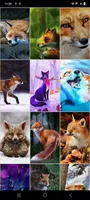 Fox Wallpapers screenshot 4