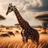 Giraffen Hintergründe APK