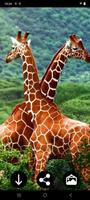 برنامه‌نما Giraffe Wallpapers عکس از صفحه