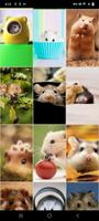 Fonds d'écran hamsters capture d'écran 1