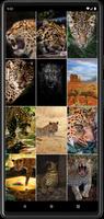 3 Schermata Sfondi di leopardo HD