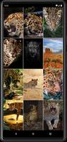 Leopard Wallpapers ảnh chụp màn hình 3