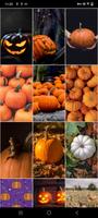 Pumpkin Wallpapers ảnh chụp màn hình 1
