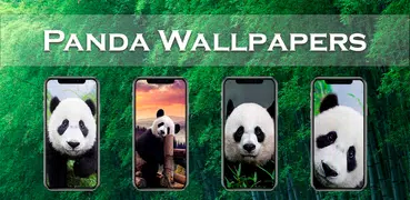 Papéis de parede HD de pandas