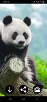 Wallpaper Panda poster