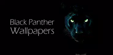 Panther Wallpapers