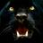 Panther Wallpapers APK