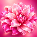 핑크 배경화면 APK