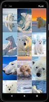 Polar Bear Wallpapers ảnh chụp màn hình 3