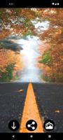 Road Wallpapers 海報