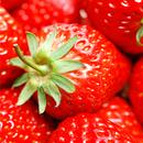 Fonds d'écran fraise APK