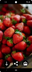 Strawberry Wallpapers XAPK 下載