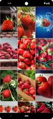 Strawberry Wallpapers XAPK 下載