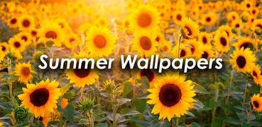 Papéis de parede de verão