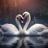 Swan Wallpapers APK