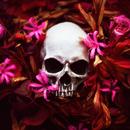 Fonds d'écran crâne APK