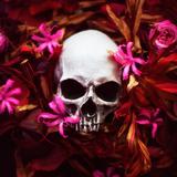 Wallpaper Tengkorak APK