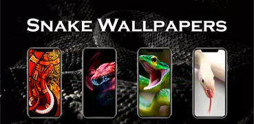 Snake Wallpapers