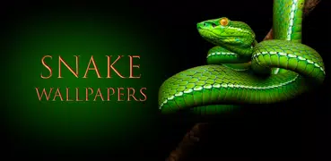 Snake Wallpapers