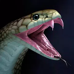 Snake Wallpapers アプリダウンロード