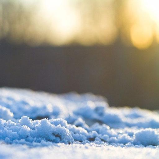 雪の壁紙