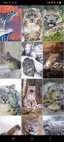 برنامه‌نما Snow Leopard Wallpapers عکس از صفحه