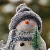 APK Snowman Wallpapers