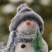 Snowman Wallpapers icon