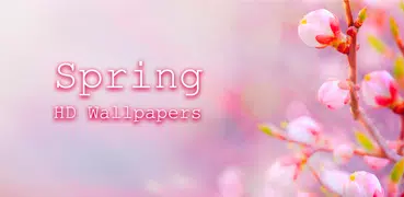 Красивые весенние обои