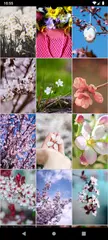 Скачать Красивые весенние обои XAPK