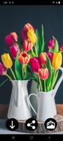 Fonds d'écran Tulipes Affiche