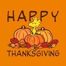 Thanksgiving Day Wallpapers APK