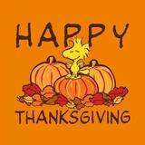 Thanksgiving Day Wallpapers APK