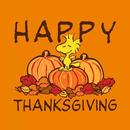 Thanksgiving Day Wallpapers APK