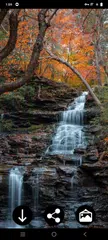 Waterfall Wallpapers XAPK download