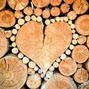 APK Sfondi con texture in legno