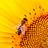 Yellow Wallpapers APK