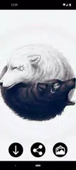 Yin Yang Wallpapers XAPK 下載