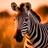 Zebra Wallpapers APK