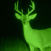 Night vision camera simulation