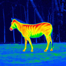 Thermal Camera Real Simulator APK