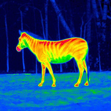 Camera Thermique infrarouge icône