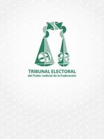 1 Schermata Tribunal Electoral 360º RV