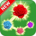 Rose Paradise